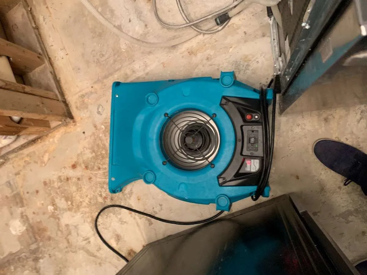 Air mover drying equipment for Mold Remediation & Removal in Wayland